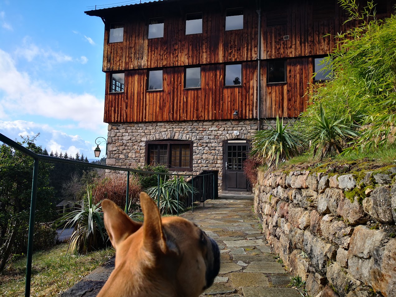moulin à papier richard de bas chien accepté
