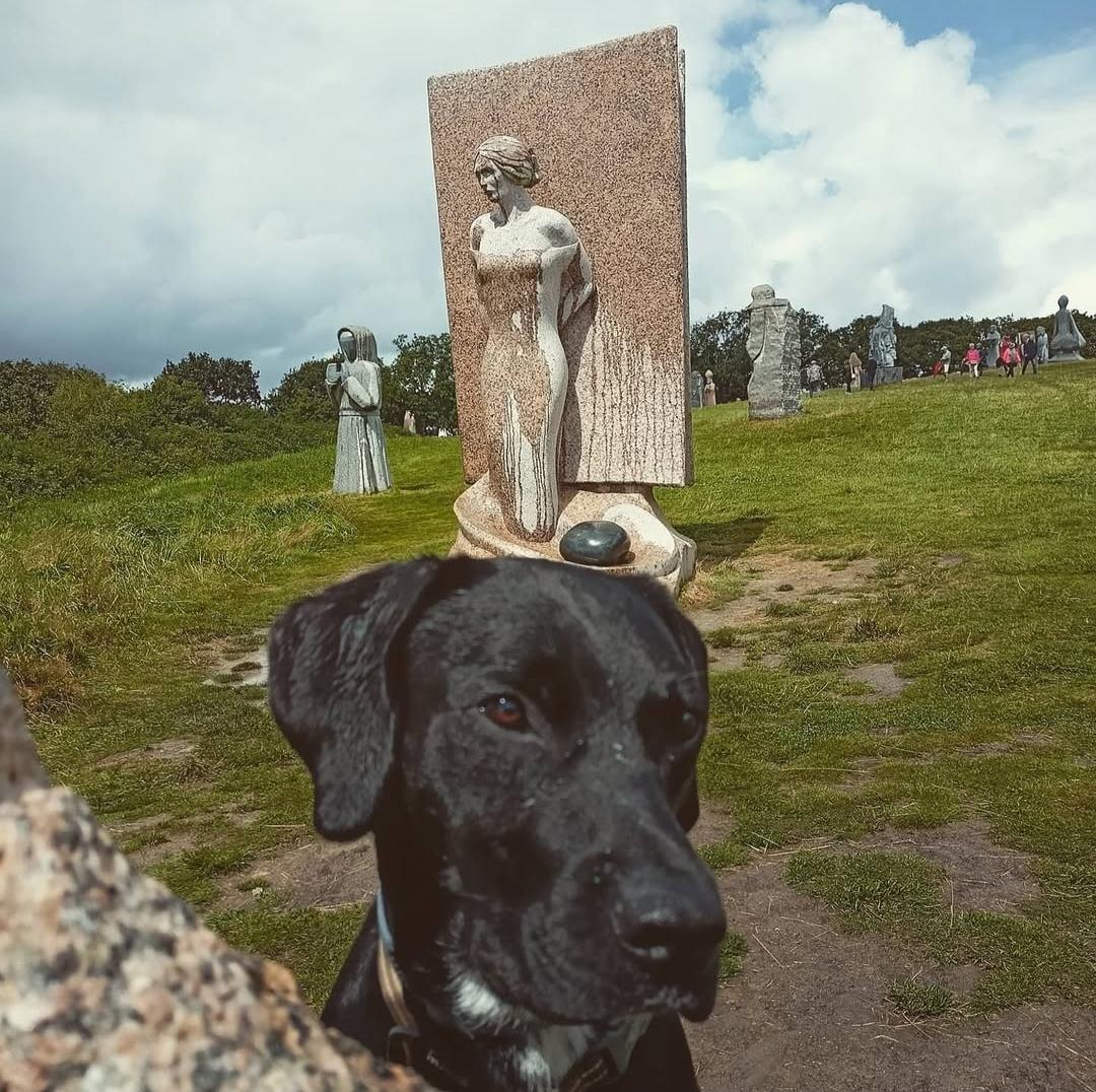 visite vallée des saints avec chien bretagne