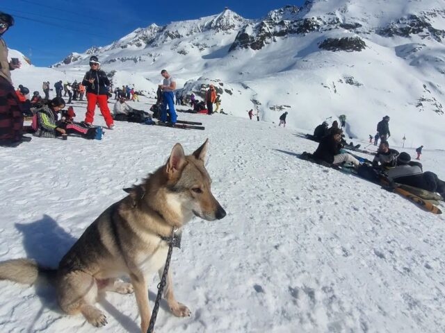 Station Alpe d'Huez