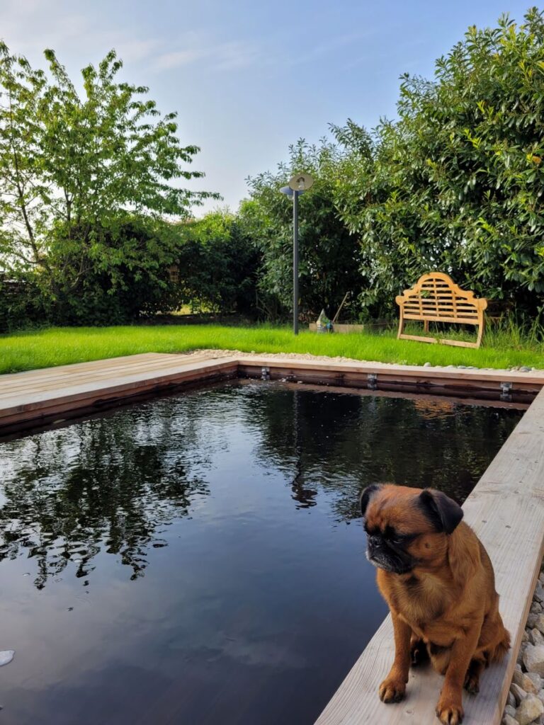 la villa marie accepte chien région parisienne