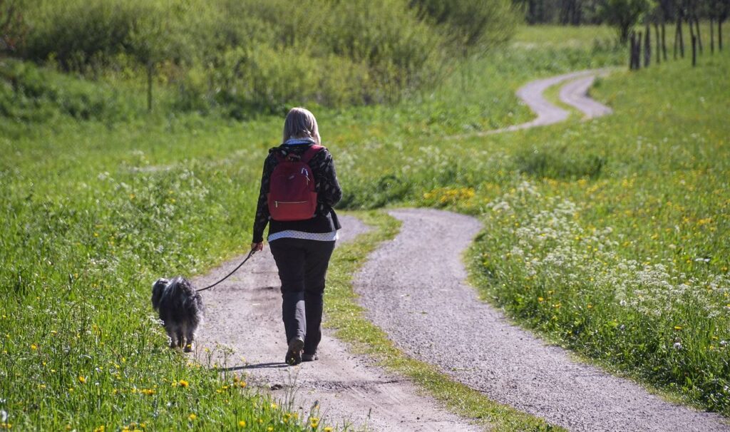 randonnée avec chien en Bourgogne