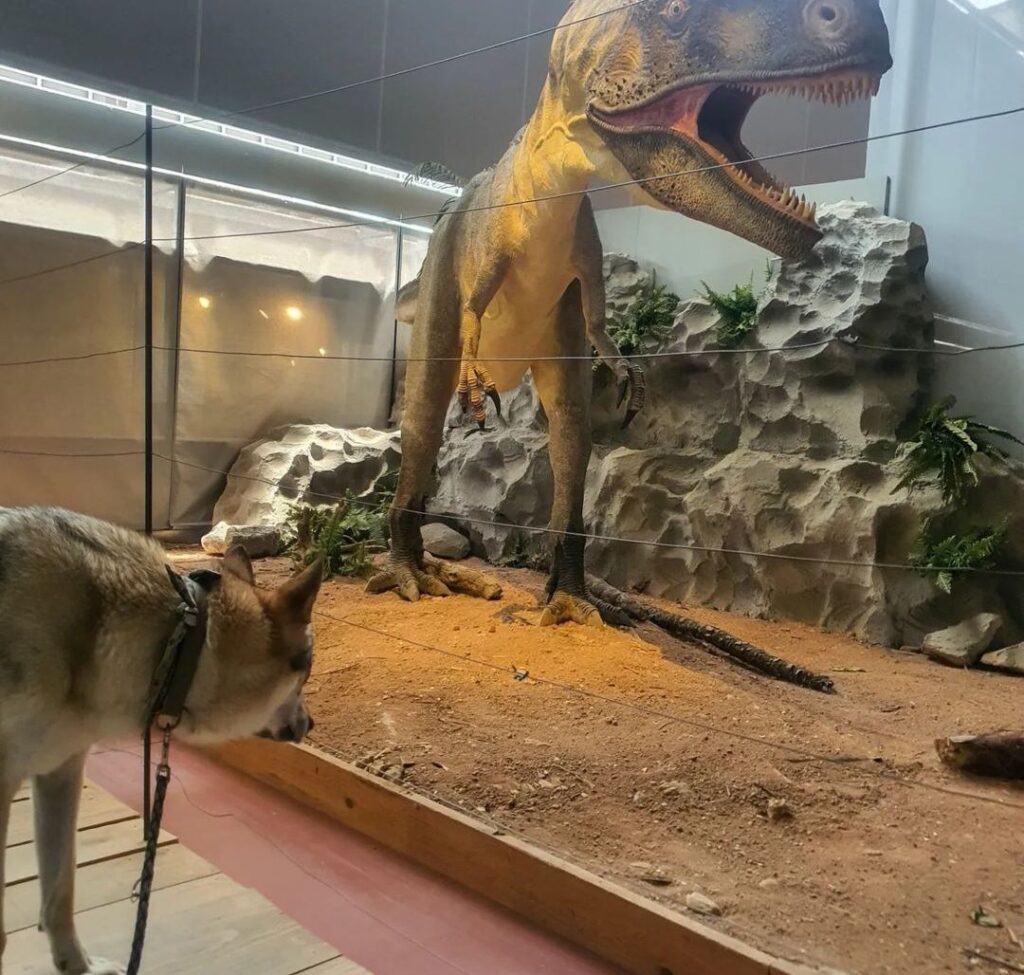 Musée des Dinosaures d'Espéraza chien admis aude