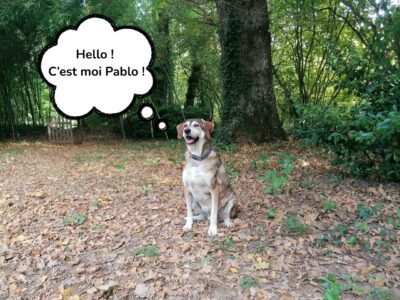 Pablo mascotte du gite Entre rivière et bambous