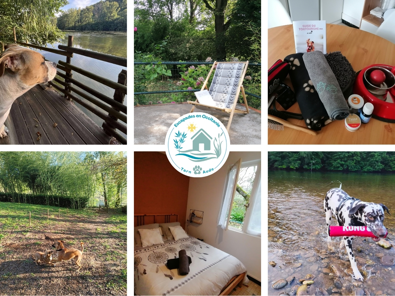 Gîte Entre Rivière et Bambous 100% Dog friendly