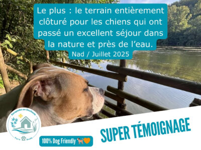 Avis gite Entre rivière et bambous