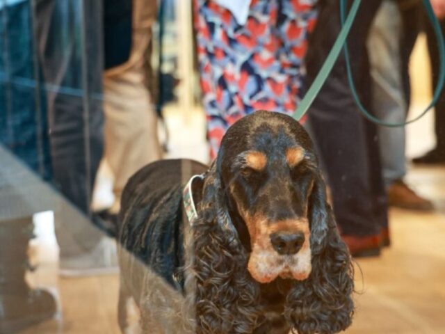 Le Musée du Chien de la Centrale Canine