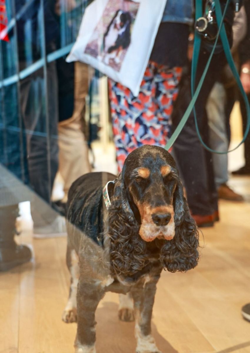 musée qui accepte les chiens paris