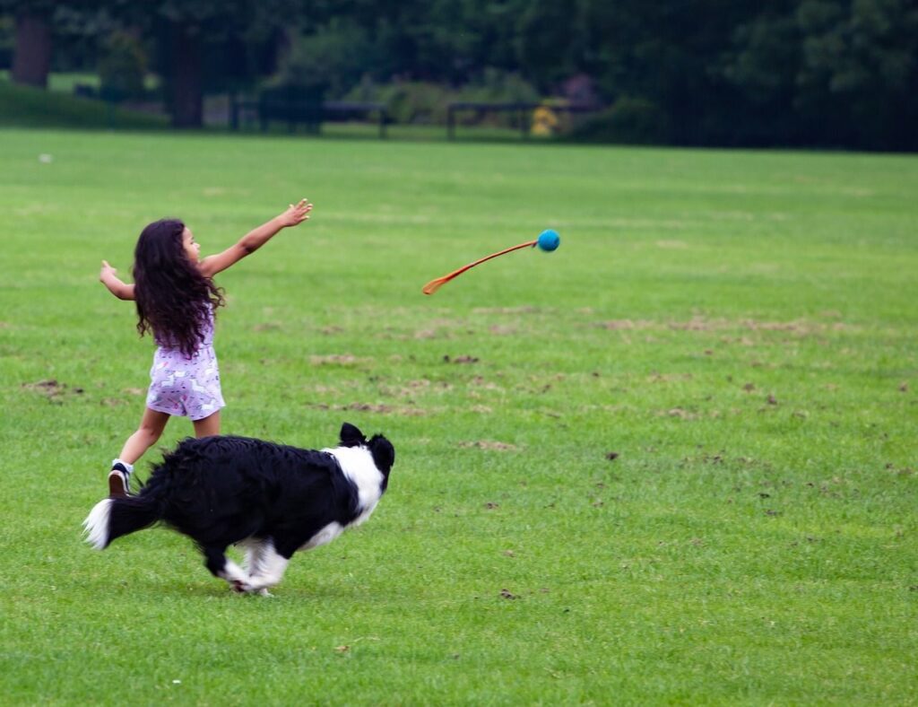 carte postale vacance avec chien