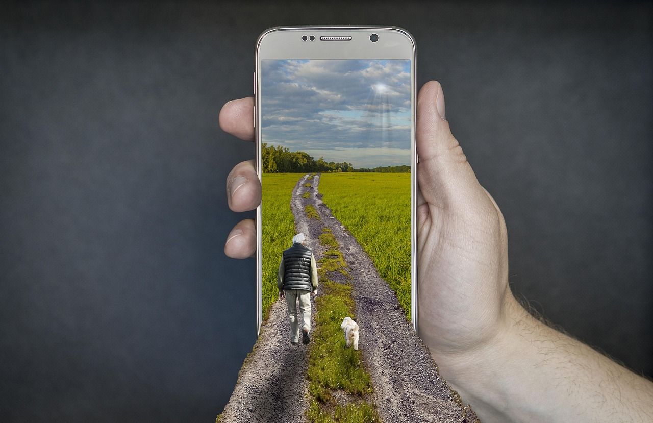 La carte postale pour immortaliser vos vacances avec votre chien
