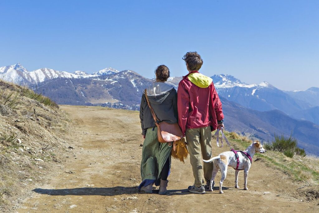 Santé du chien : les prérequis avant un voyage
