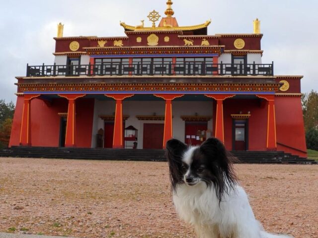 Temple Bouddhiste