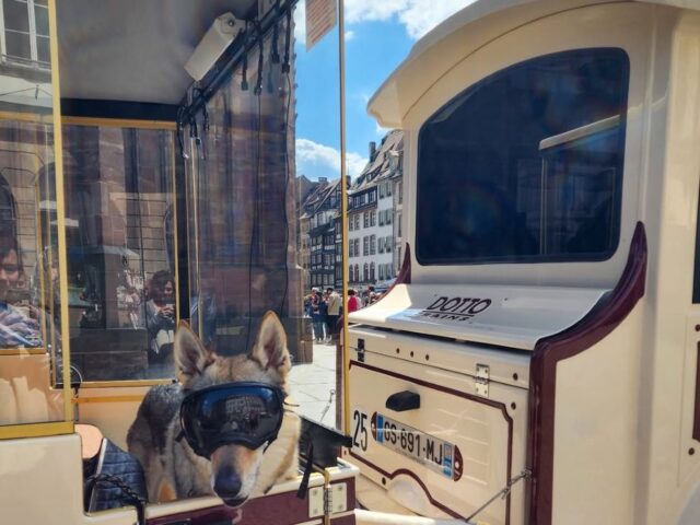 Le Petit Train de Strasbourg