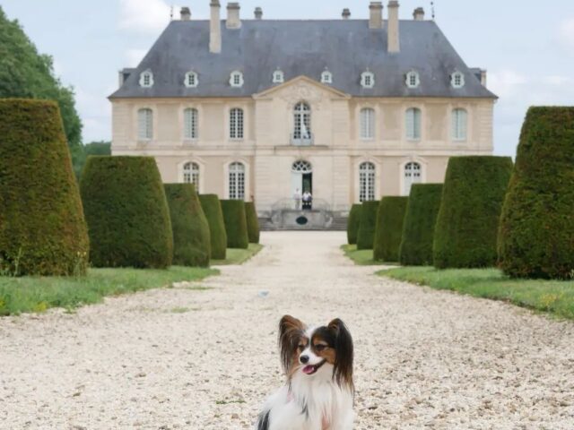 Château de Vendeuvre et ses jardins