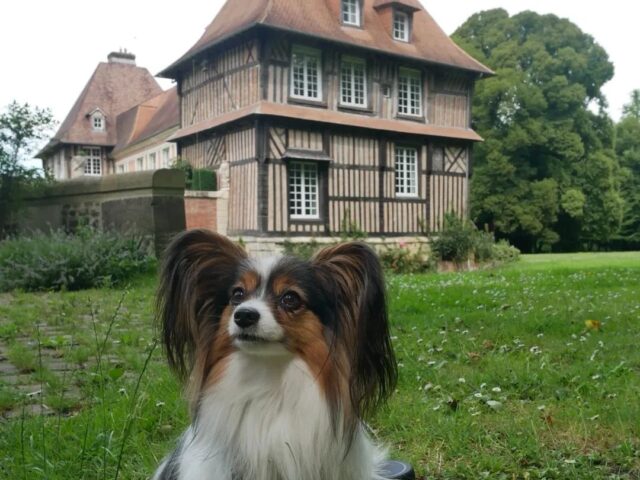 La Spiriterie Française - Château du Breuil