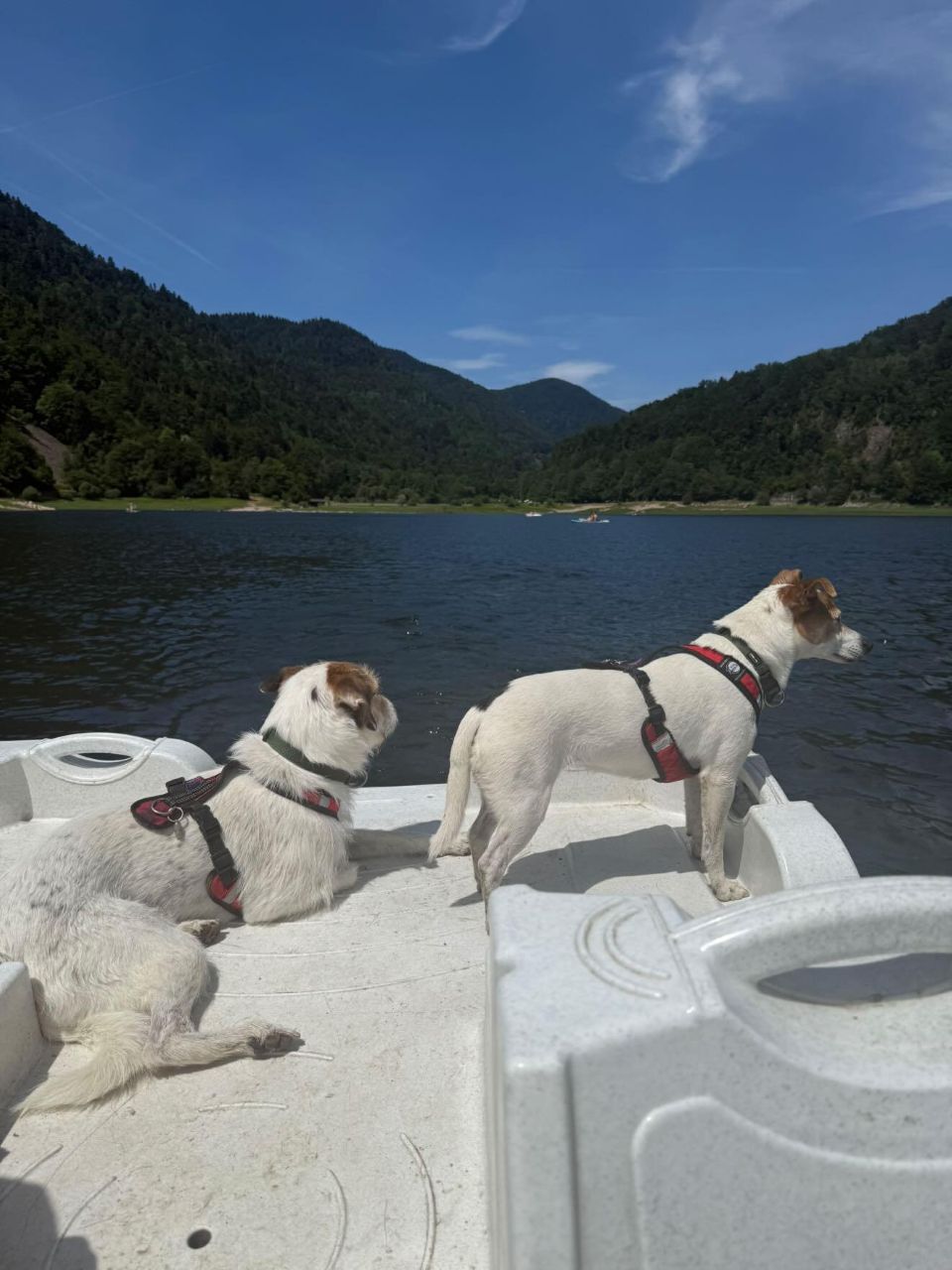 Pédalo sur le lac de Kruth Wildenstein