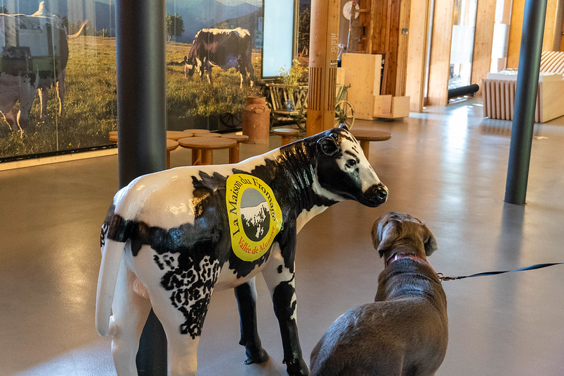 Visite Maison du fromage avec chien