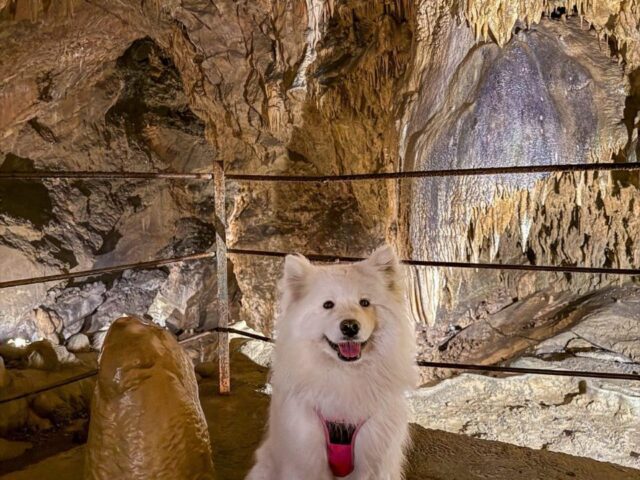 Grottes de Médous