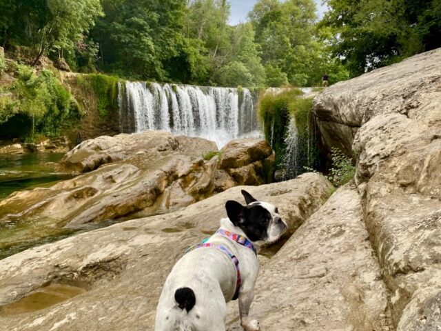 Cascade de la Vis