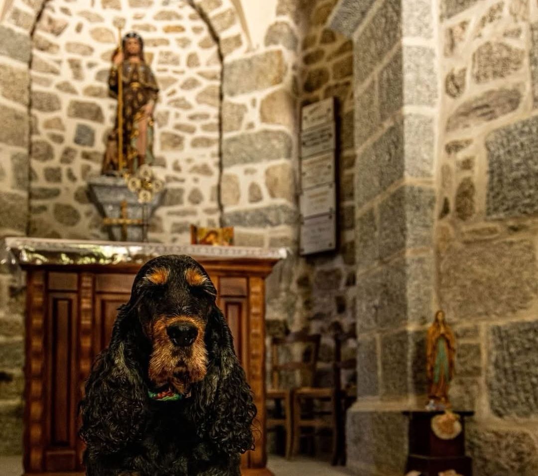 la chapelle saint roch activité chien accepté lozère