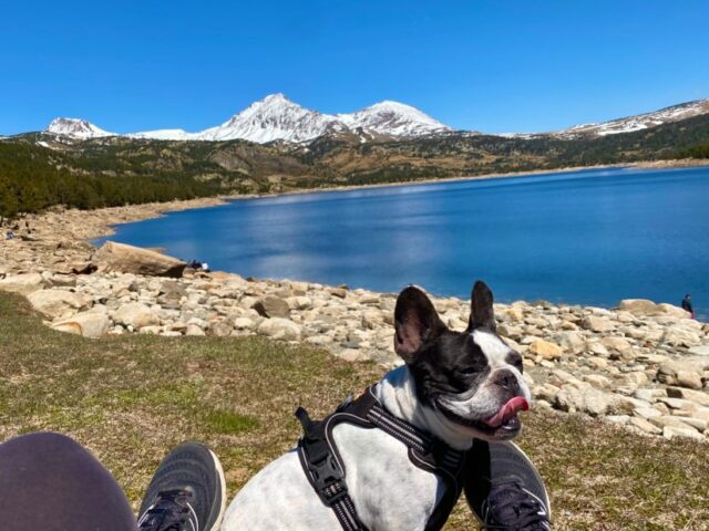 Lac des Bouillouses