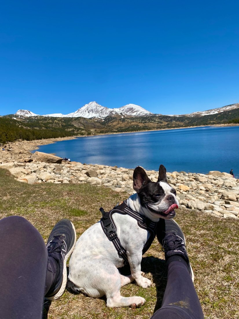 lac des bouillousses chien autorisé