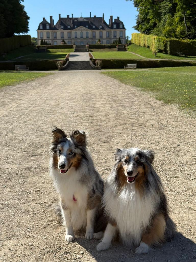 Parc du château de La Motte Tilly