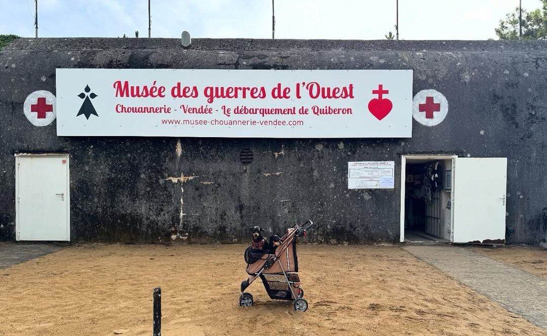 Musée de la Chouannerie et des Guerres de l'Ouest chien bienvenu