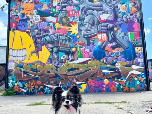 Street Art City