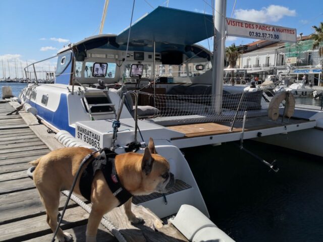 Catamaran MANSATHAU