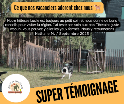 Chien jardin du gite L'envol du coquelicot