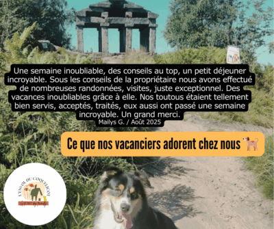 Chiens au temple du Donon