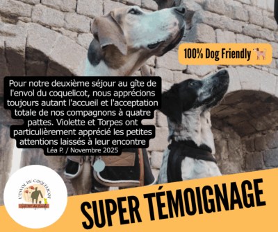 Chiens au Chateau d'Andlau 