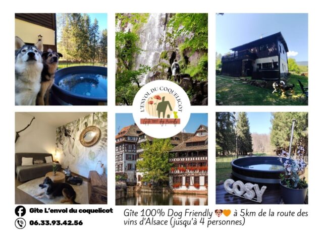 Gîte L’envol du coquelicot