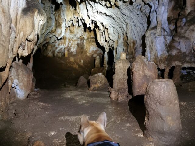 Grotte de Bernifal