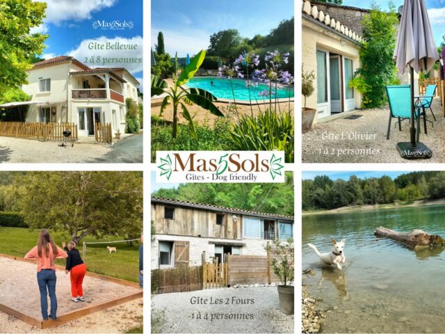 Les gîtes Mas Cinq Sols 100% Dog friendly