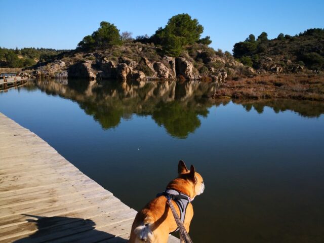 Peyriac-de-Mer et ses pontons