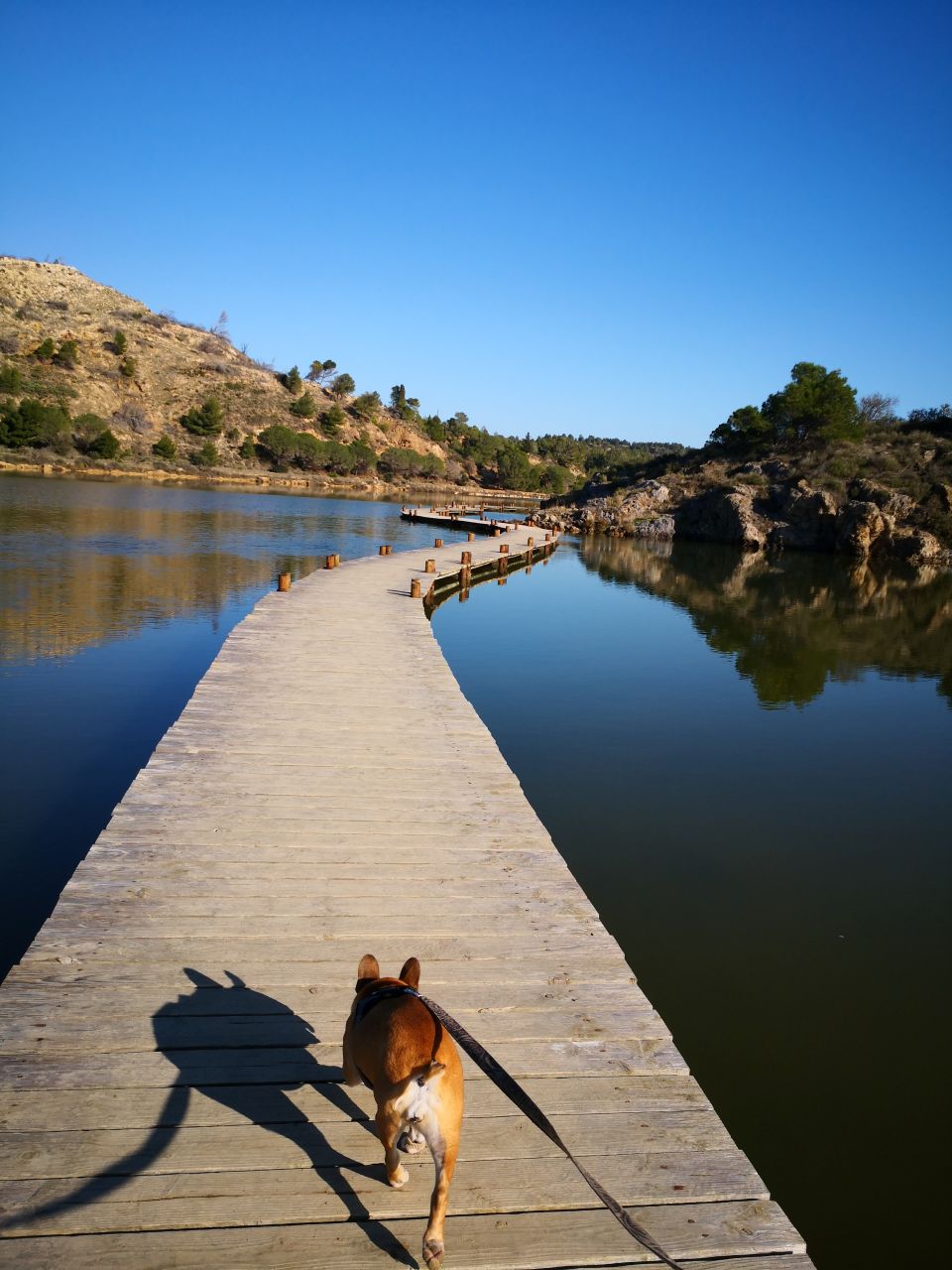 Peyriac-de-Mer randonnée chien autorisé