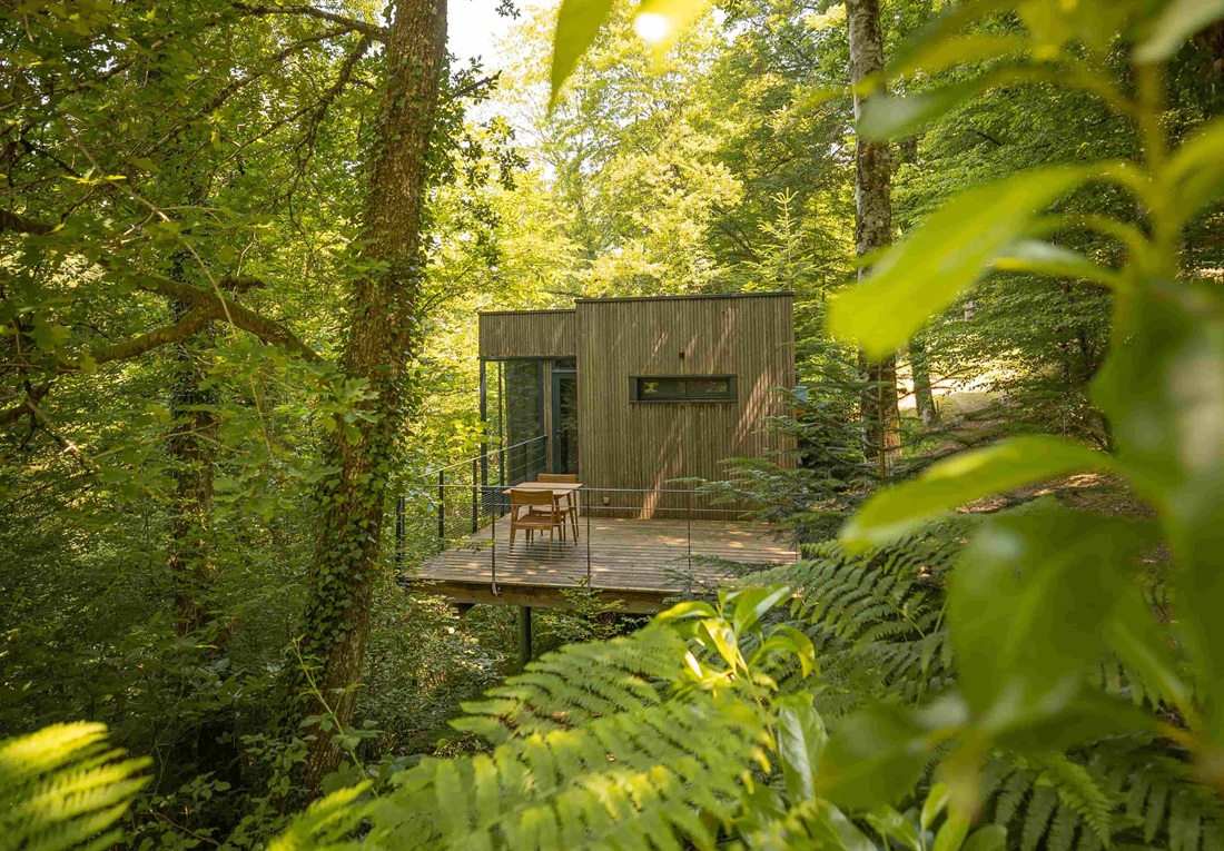 Les Cabanes de Salagnac chien accepté