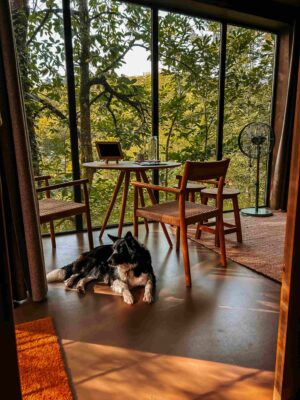 Intérieur - Cabanes de Salagnac