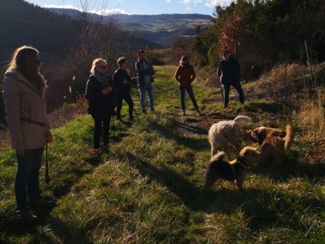 Domaine Sauvat : Œnobalade dog-friendly au cœur du vignoble de Boudes