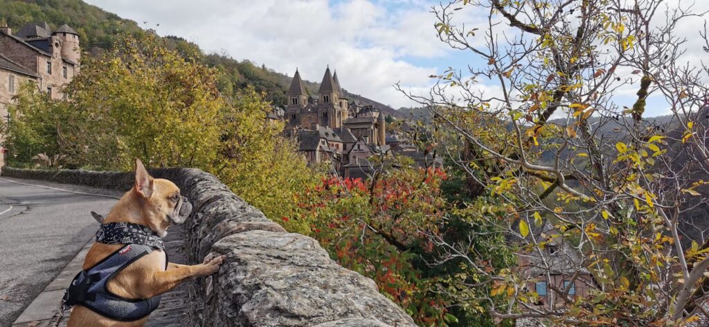 Visiter l&rsquo;Aveyron avec son chien : Guide des meilleures activités dog-friendly