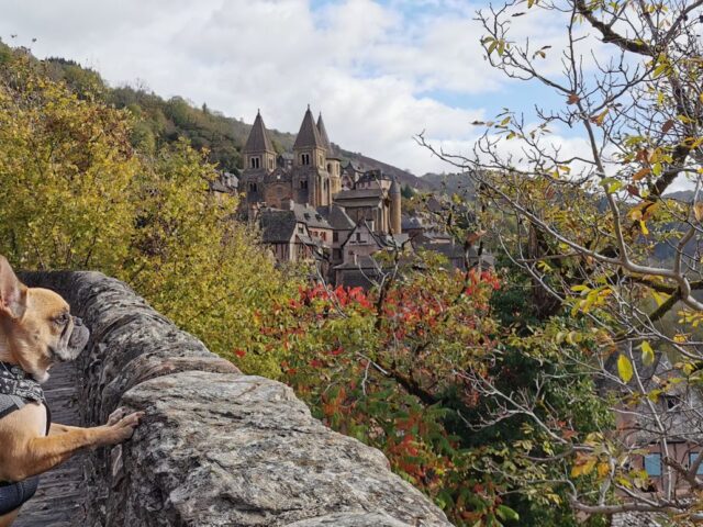 Visiter l’Aveyron avec son chien : Guide des meilleures activités dog-friendly