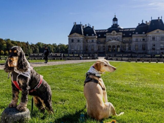 Parc du château de Vaux le Vicomte