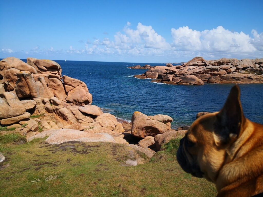 Où partir en vacances avec son chien en France : 25 destinations vraiment dog-friendly