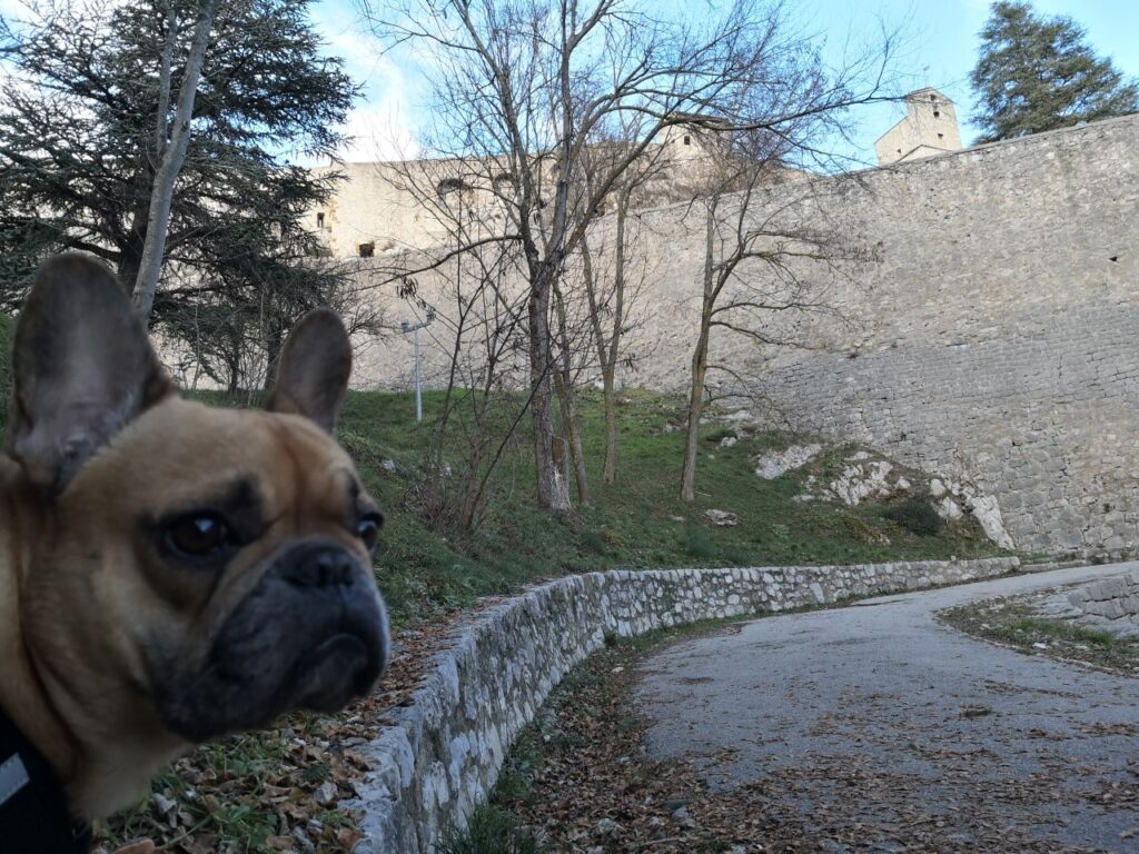 Vacances avec son chien en Sisteron Buëch