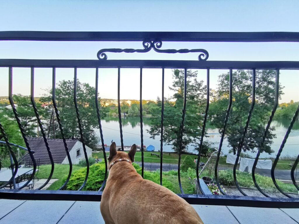 Week-end de Pâques avec son chien hébergement chien accepté