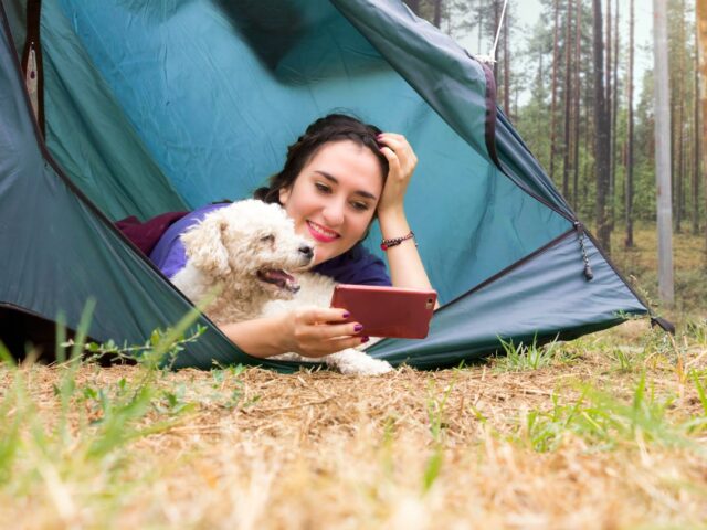 Camper avec son chien toute l’année avec Camping Direct : la liberté sans compromis