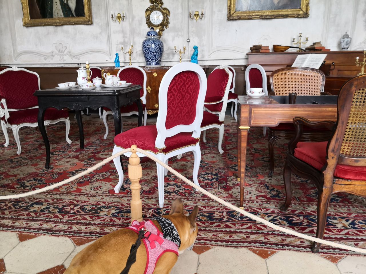 Château Abbaye de Moutiers-Saint-Jean chien accepté