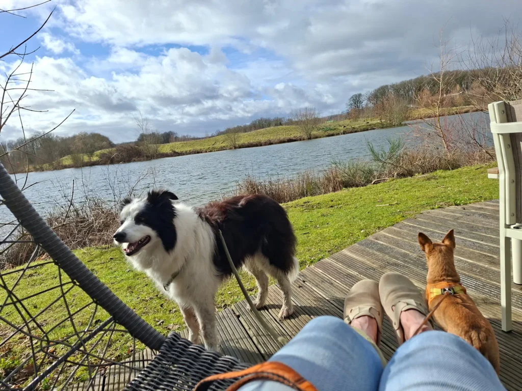 Center Parcs avec votre chien : l&rsquo;avis des Toutouristes !