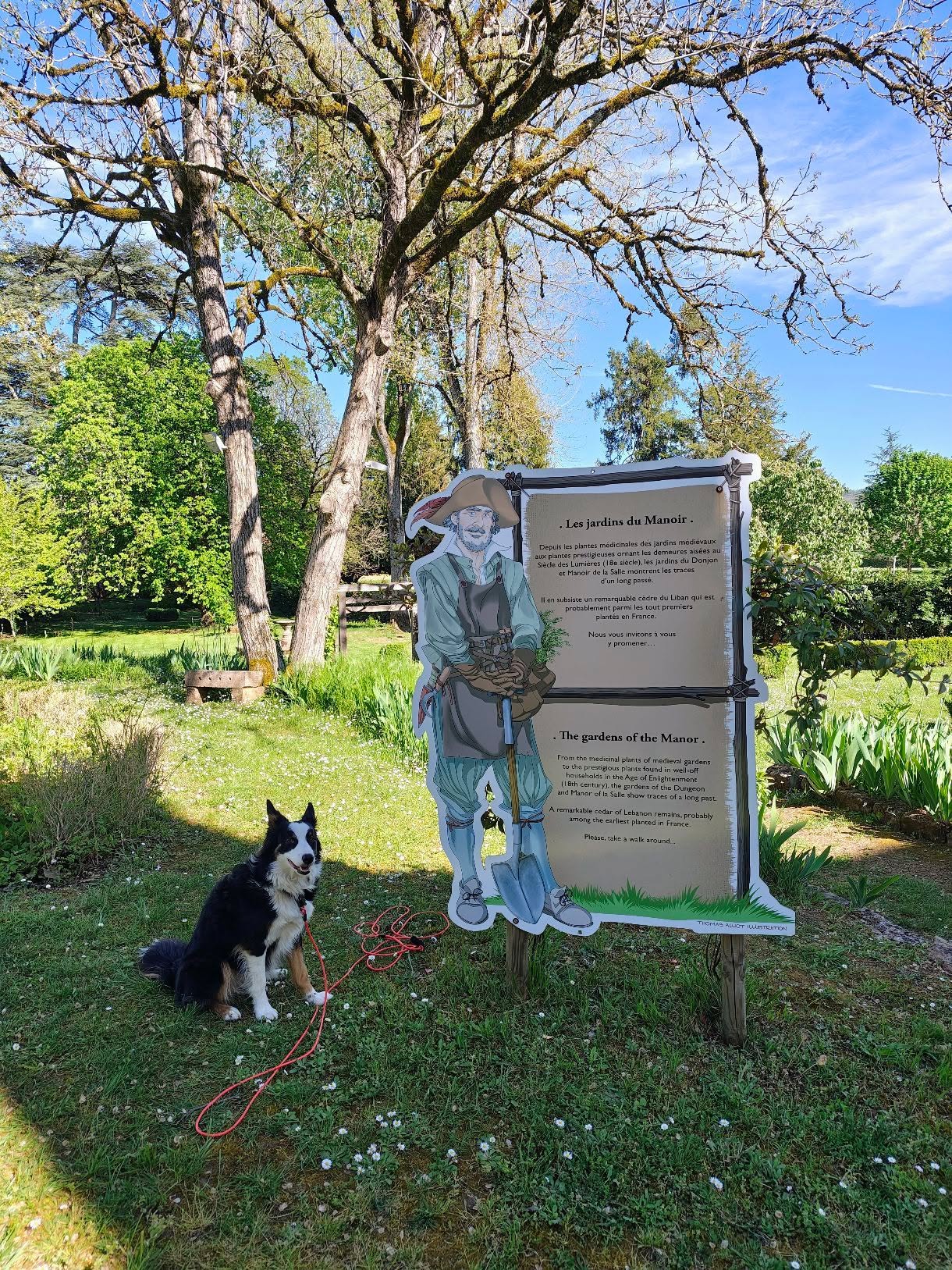 donjon manoir et jardin de la Salle chien accepté